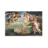 Puzzle Die Geburt der Venus 1485