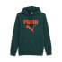 Фото #1 товара Puma Framed Up Hoodie Mens Green Casual Outerwear 67807343
