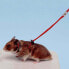 ფოტო #3 პროდუქტის FERPLAST Ajustable De Nylon Para Hamster Harness