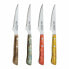 Набор ножей для мяса San Ignacio Evergreen BGEU-6076 Разноцветный Нержавеющая сталь (4 штук)