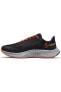 Air Zoom Pegasus 38 Shield Weatherized Road Suya Dayanaklı Erkek Koşu & Antreman Ayakkabısı