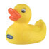 Фото #1 товара PLAYGRO Water Duckling