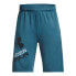 Фото #1 товара UNDER ARMOUR Prototype 2.0 Logo Shorts