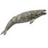 Фото #1 товара COLLECTA Gray Whale XL Figure