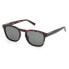 Фото #6 товара Очки TIMBERLAND TB00007 Polarized S