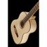 Фото #10 товара Гитара акустическая Gewa Pro Natura Silver 1/2 Maple