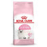 ROYAL CANIN Kitten 10kg Cat Food Разноцветный, 10kg - фото #1