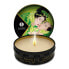 Massage Candle Shunga Exotic Green Tea Green Tea