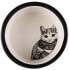 Фото #1 товара Миска керамическая для кошек в горошек 0.3л TRIXIE