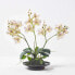 Фото #5 товара Искусственные цветы Homescapes Phalaenopsis-Orchidee 38 см белые