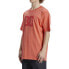 DC SHOES Dcstar Pigment short sleeve T-shirt