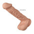 Realistic Dildo with Suction Cup Bergrisi 10.2