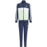 Фото #1 товара adidas Essentials 3-Stripes Tiberio Track Suit Jr IV5307