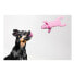 Dog toy Gloria Dogmonsters Pink Pig 34 x 9 cm