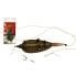 Фото #1 товара CARP EXPERT Method Bait Sting feeder 10 cm