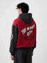 Фото #2 товара Chicago Logo Colorblock Hoodie