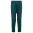 Фото #2 товара HUMMEL Core XK Training Poly Pants