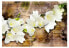 Фото #1 товара Fototapete Freesia on Wood