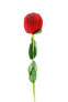 Фото #1 товара Charming rose box KS11