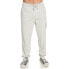 QUIKSILVER Graphic Pant sweat pants