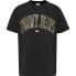 ფოტო #1 პროდუქტის TOMMY JEANS Classic Gold Arch short sleeve T-shirt