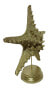 Фото #6 товара Декор и интерьер Moebel17 Скульптура Звезда Золото