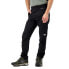 Фото #5 товара THE NORTH FACE Forcella Pants