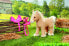 Фото #7 товара Zapf BABY born? My Cute Horse| 831168