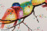 Acrylbild handgemalt Farbengezwitscher