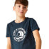 ფოტო #6 პროდუქტის REGATTA Bosley VII short sleeve T-shirt