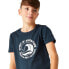 REGATTA Bosley VII short sleeve T-shirt