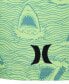 Little Boys Shark Head Doodle Swim Set