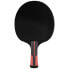 Фото #2 товара Ракетка для настольного тенниса Dunlop Evolution 3000 - Красно-черная