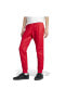 Фото #9 товара Брюки Adidas Мужские Джоггеры Красные с Принтом IJ5691