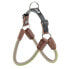 ფოტო #1 პროდუქტის FERPLAST Agila Derby 5 Harness