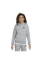 Фото #1 товара Детская спортивная толстовка Nike Sportswear Zero Pullover Hoodie - серая.