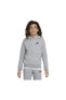 Sportswear Zero Pullover Hoodie Çocuk Sweatshirt - Gri