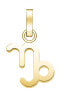 Фото #1 товара Pozlacený přívěsek Kozoroh The Pendant PE-Gold-Capricorn-S