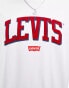 Levi's varsity logo relaxed fit t-shirt in white