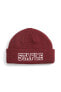 Фото #1 товара X Staple Beanie Unisex Bere