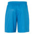 Фото #2 товара UHLSPORT Center Basic Shorts