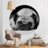 Фото #4 товара Pug Loves You II