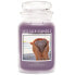 Фото #1 товара Scented candle in glass Hope (Hope) 602 g