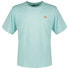 ფოტო #1 პროდუქტის DICKIES Mapleton short sleeve T-shirt
