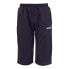 Фото #1 товара UHLSPORT Essentialshorts Shorts