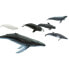 Фото #4 товара SAFARI LTD Whales Toob Figure