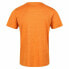 Фото #8 товара Футболка мужская Regatta Fingal Edition Оранжевая