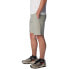 Фото #3 товара COLUMBIA Flex Roc™ Shorts