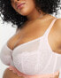 Фото #2 товара Dorina Curve Chelsea non padded bra in pink