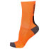 Фото #1 товара BIORACER Classic Knitted socks